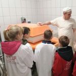 IMG 20200218 083529 (Copy)