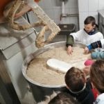 IMG 20200218 083610 (Copy)