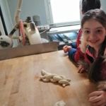 IMG 20200218 091514 (Copy)