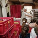 IMG 20200218 091859 (Copy)