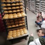 IMG 20200218 100021 (Copy)