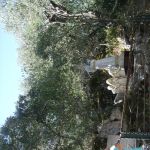 56 Pielgrzymka fatima 2024